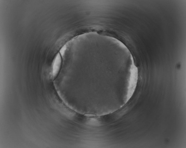 X0000115670285200912241426