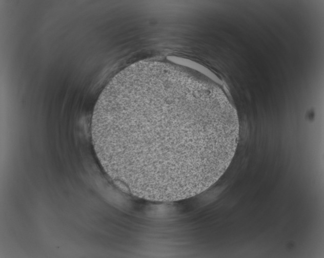 X0000115670286200912241426