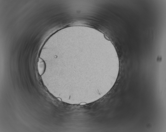 X0000115670289200912241425