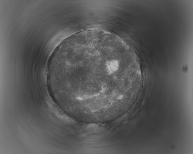 X0000115670290200912241425