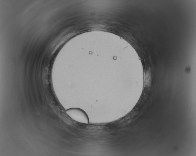 X0000115670291200912241425