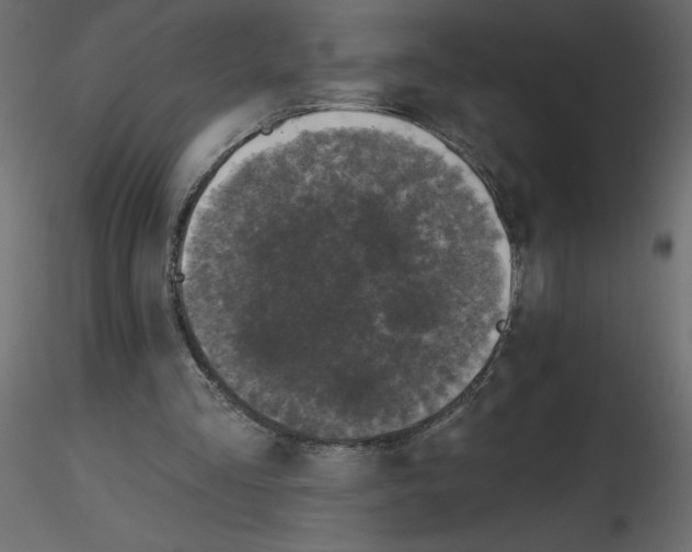 X0000115670293200912241425