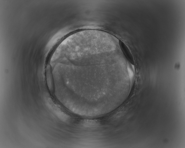 X0000115670296200912241425