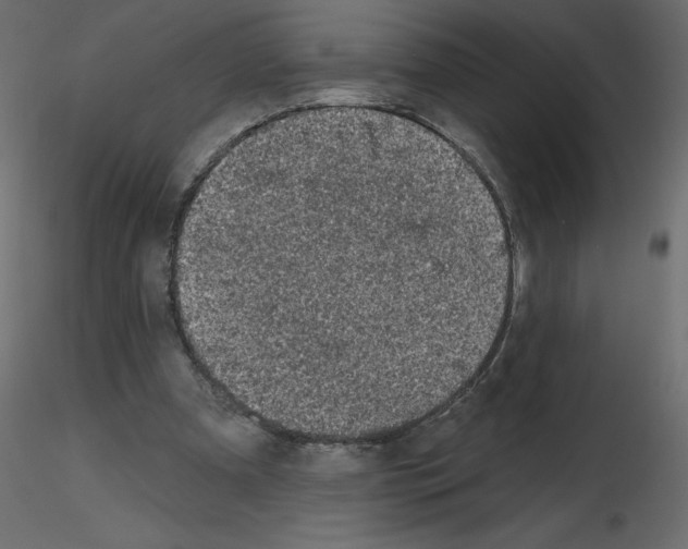 X0000115670297200912241425