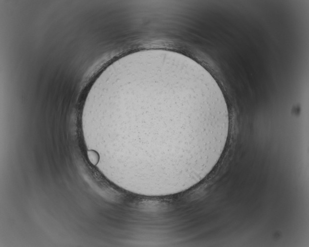 X0000115670298200912241425