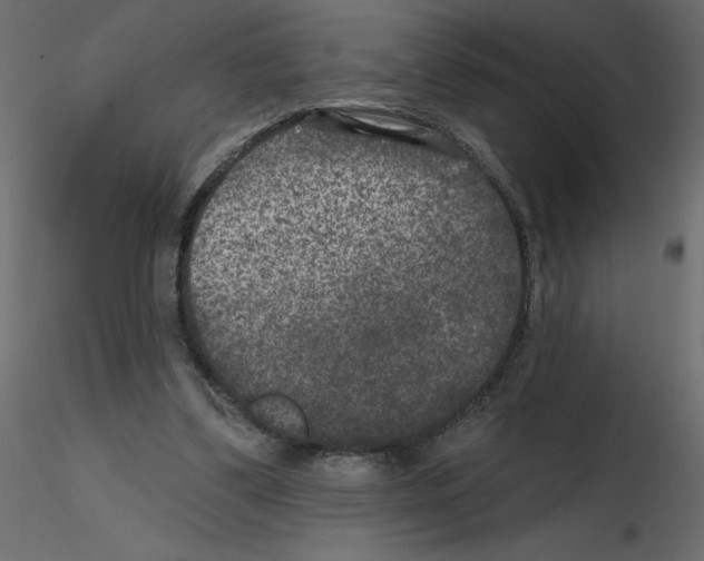 X0000115670299200912241425