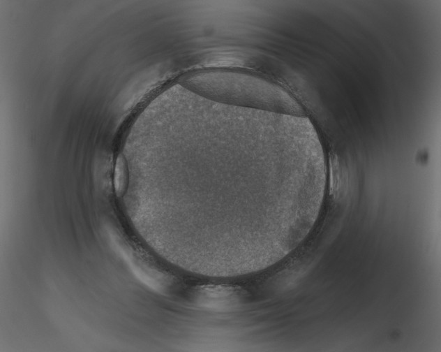 X0000115670300200912241425