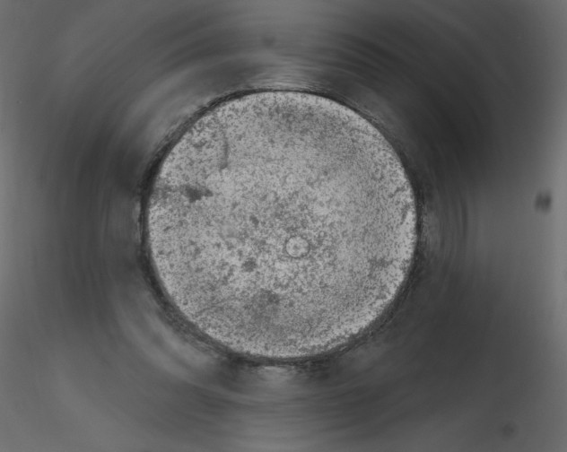 X0000115670302200912241425