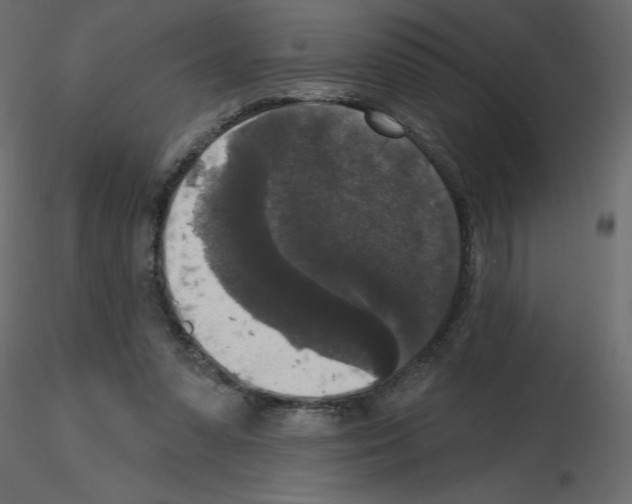 X0000115670303200912241425