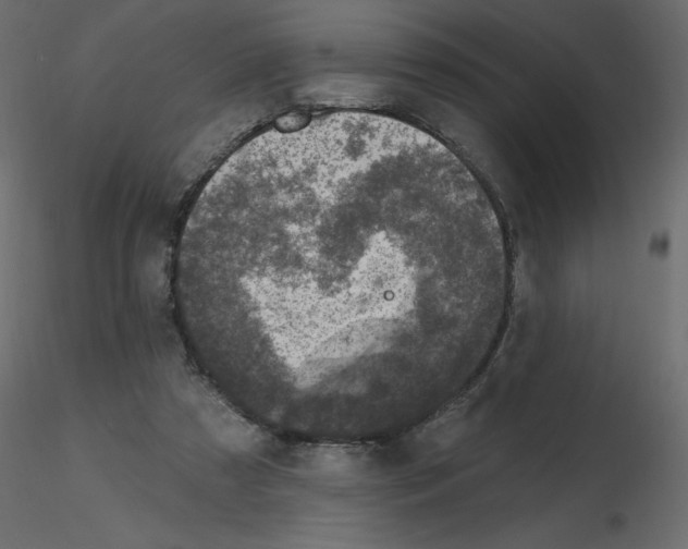 X0000115670305200912241425