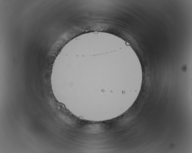 X0000115670307200912241425