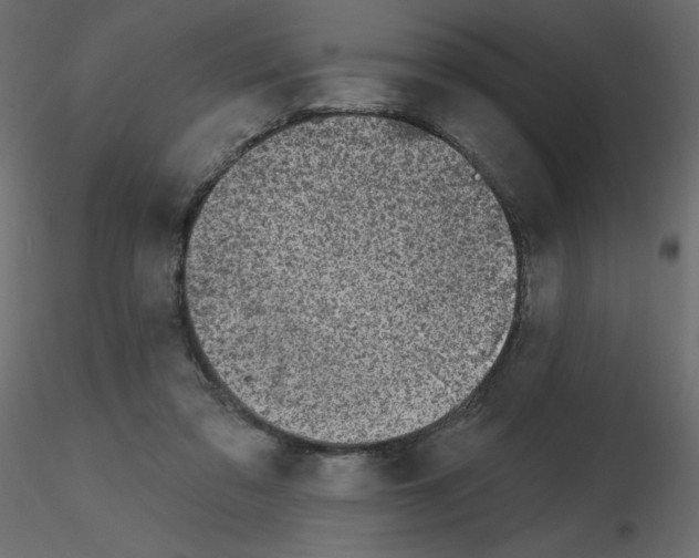 X0000115670309200912241425