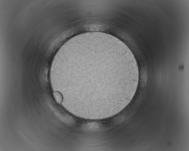 X0000115670310200912241425