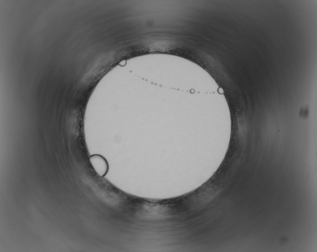 X0000115670311200912241425