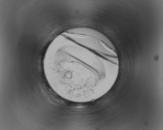 X0000115670312200912241425