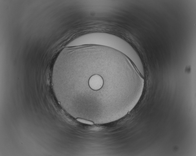 X0000115670313200912241425