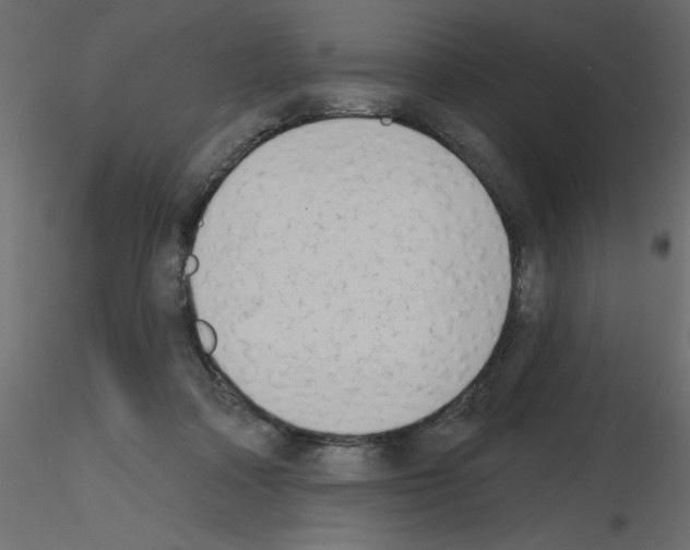 X0000115670314200912241425