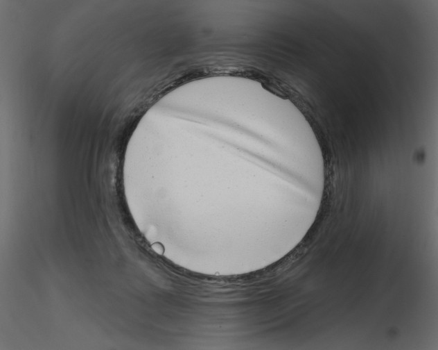 X0000115670315200912241425