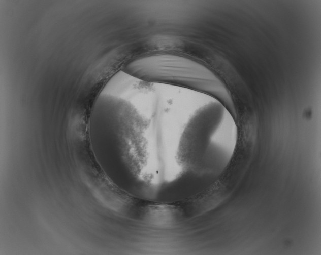 X0000115670316200912241425