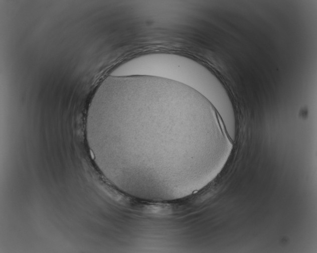 X0000115670317200912241425