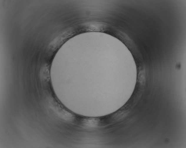 X0000115670318200912241425