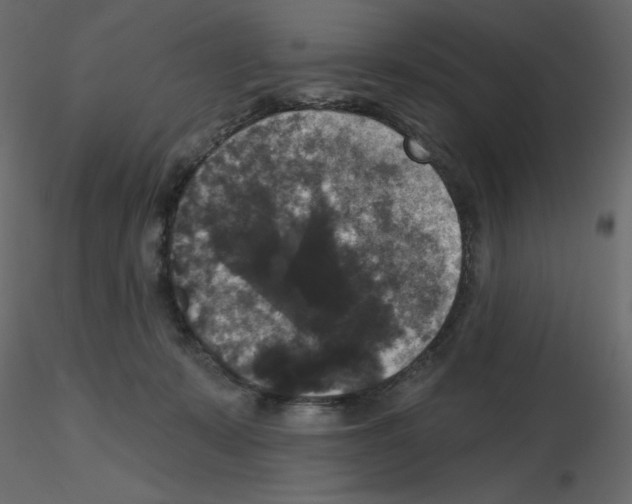 X0000115670319200912241425