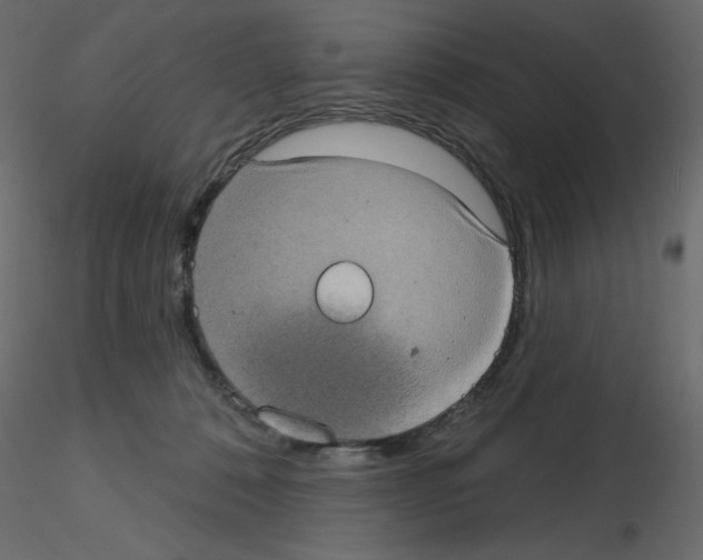 X0000115670320200912241425