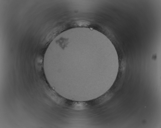 X0000115670321200912241425