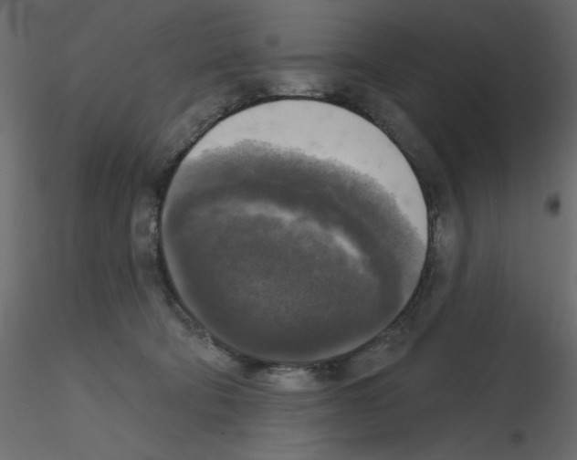 X0000115670322200912241425