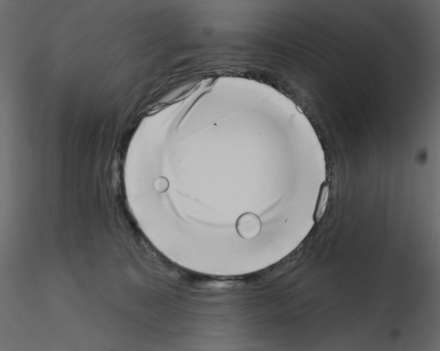 X0000115670323200912241425