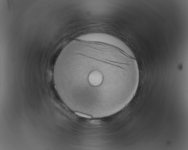 X0000115670324200912241425