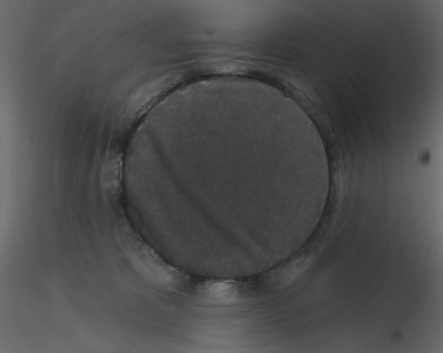 X0000115670325200912241425