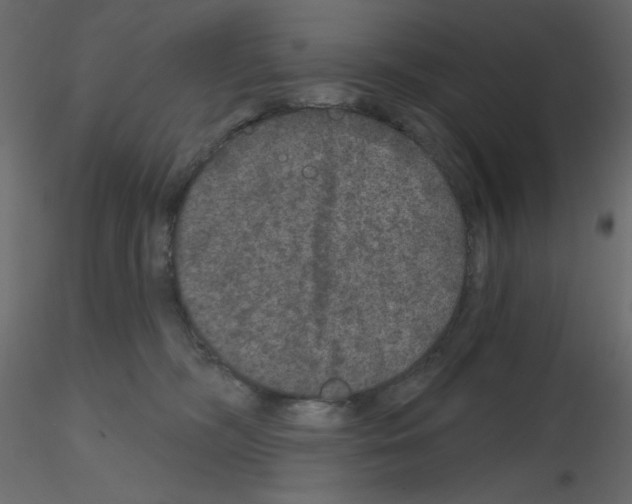 X0000115670326200912241425