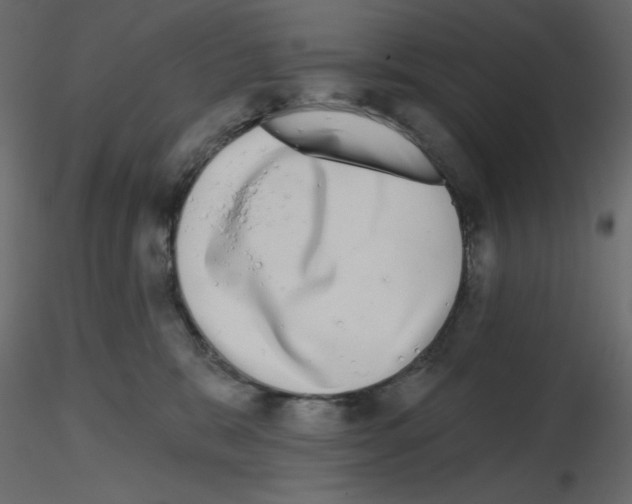 X0000115670327200912241425