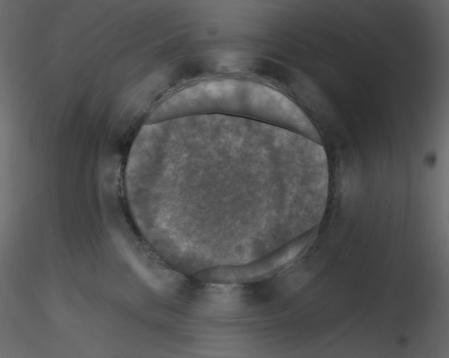 X0000115670328200912241425