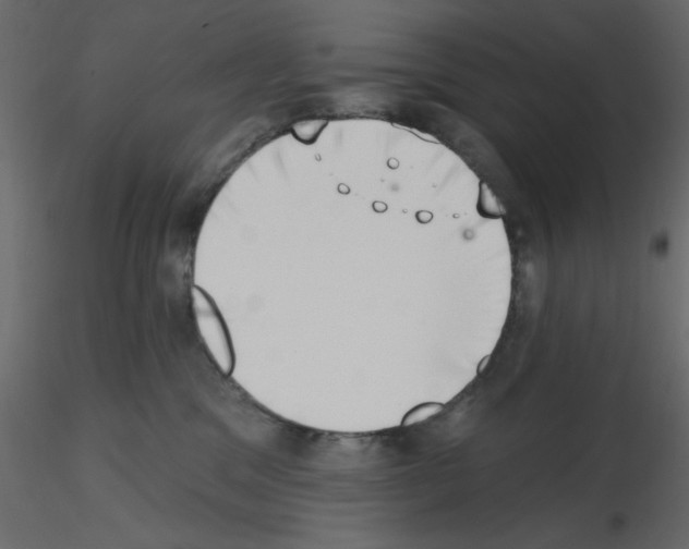 X0000115670329200912241425