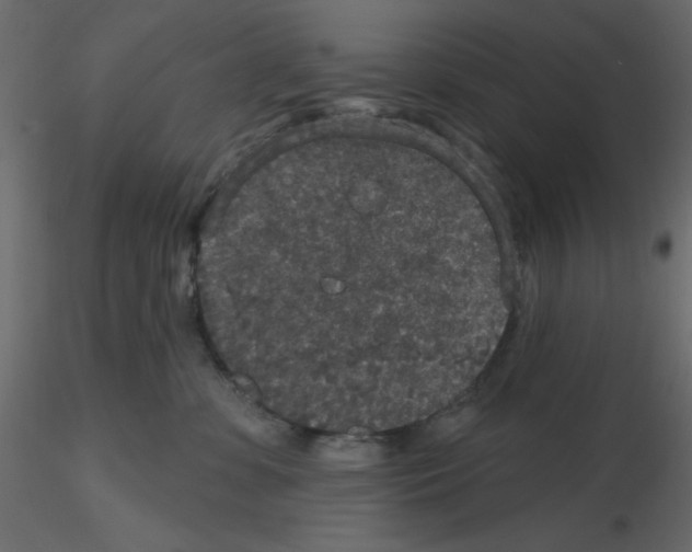 X0000115670331200912241425