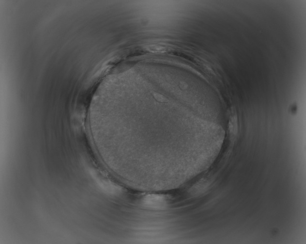 X0000115670332200912241425