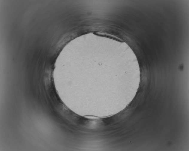 X0000115670333200912241425