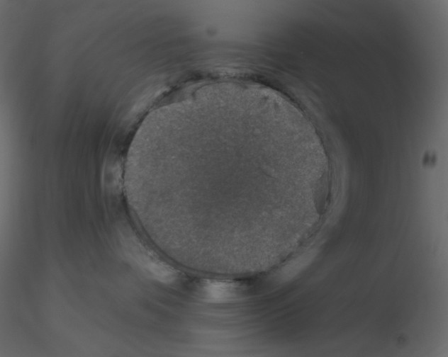 X0000115670336200912241425