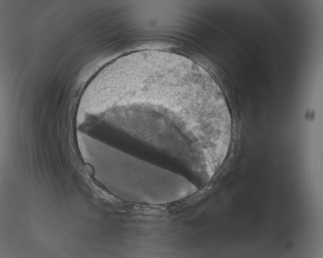 X0000115670337200912241424