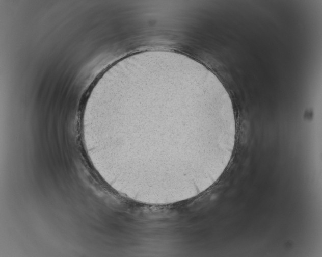 X0000115670338200912241424