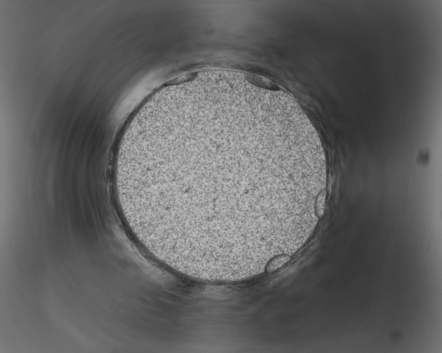 X0000115670341200912241424