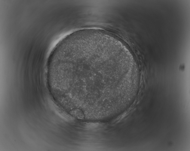 X0000115670342200912241424