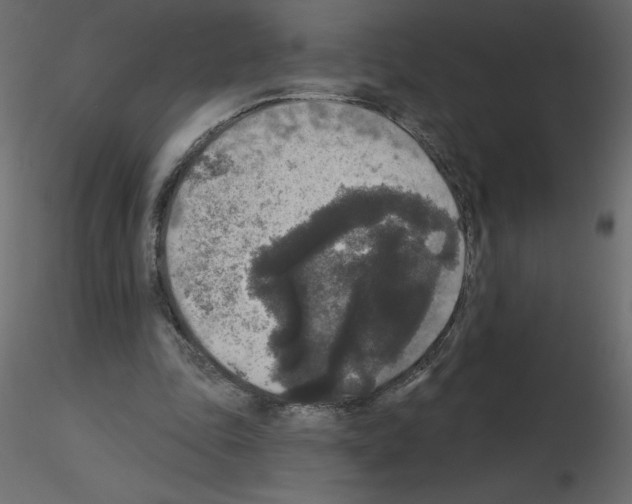 X0000115670343200912241424