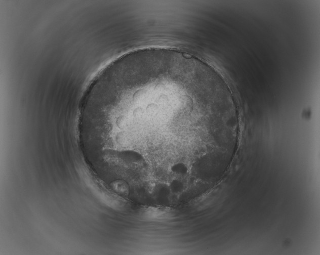 X0000115670346200912241424