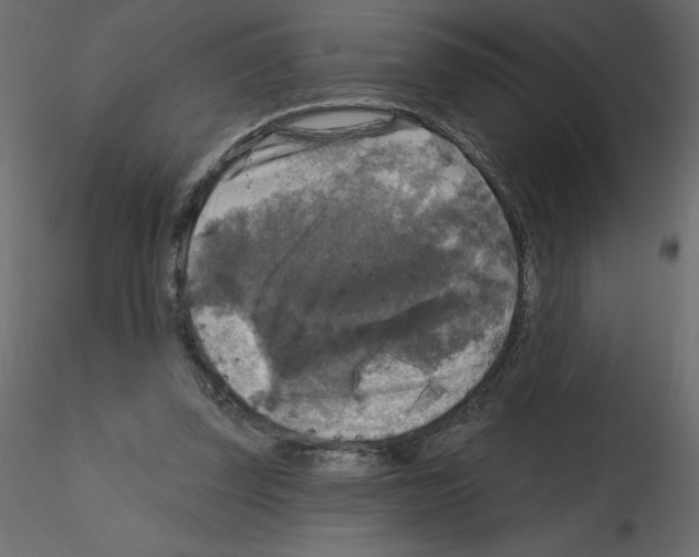 X0000115670347200912241424