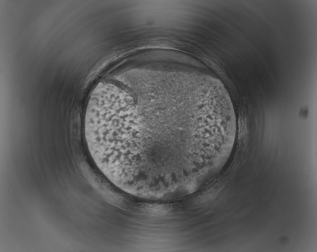 X0000115670349200912241424