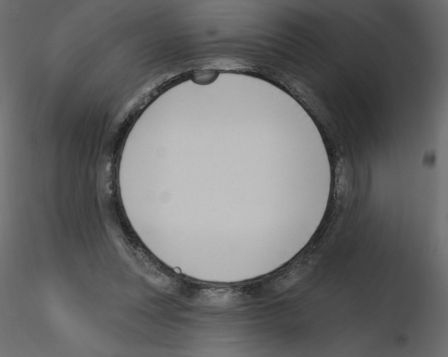 X0000115670351200912241424