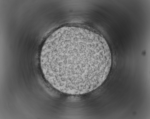 X0000115670354200912241424